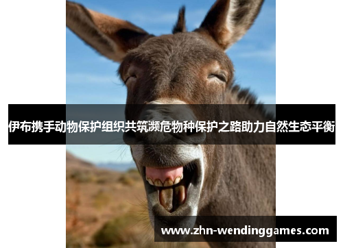 伊布携手动物保护组织共筑濒危物种保护之路助力自然生态平衡 伊布携手动物保护组织共筑濒危物种保护之路助力自然生态平衡