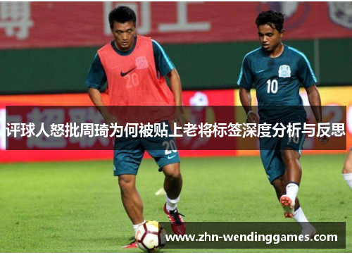 评球人怒批周琦为何被贴上老将标签深度分析与反思