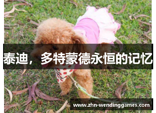 泰迪,多特蒙德永恒的记忆 泰迪,多特蒙德永恒的记忆