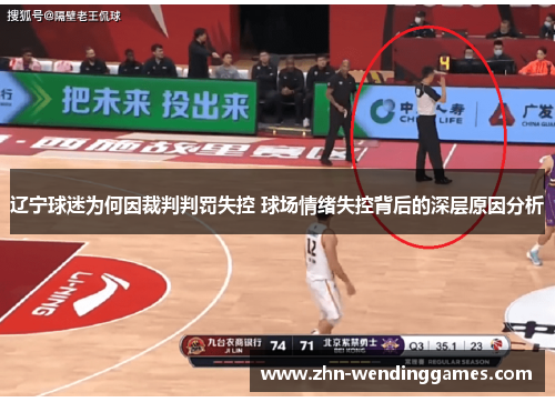 辽宁球迷为何因裁判判罚失控 球场情绪失控背后的深层原因分析 辽宁球迷为何因裁判判罚失控 球场情绪失控背后的深层原因分析
