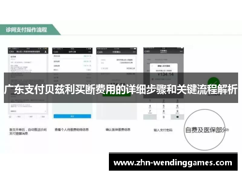 广东支付贝兹利买断费用的详细步骤和关键流程解析 广东支付贝兹利买断费用的详细步骤和关键流程解析
