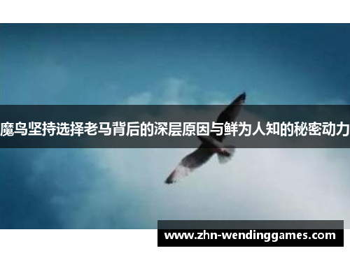 魔鸟坚持选择老马背后的深层原因与鲜为人知的秘密动力 魔鸟坚持选择老马背后的深层原因与鲜为人知的秘密动力